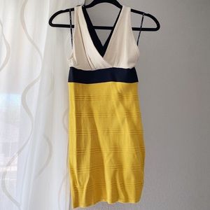 Block Colored Stretchy Dress